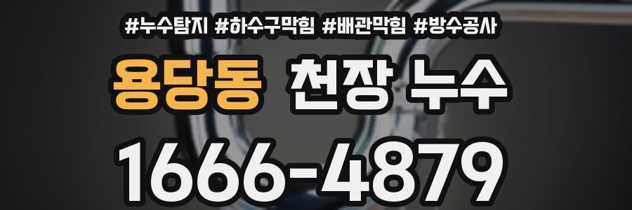용당동 천장 누수