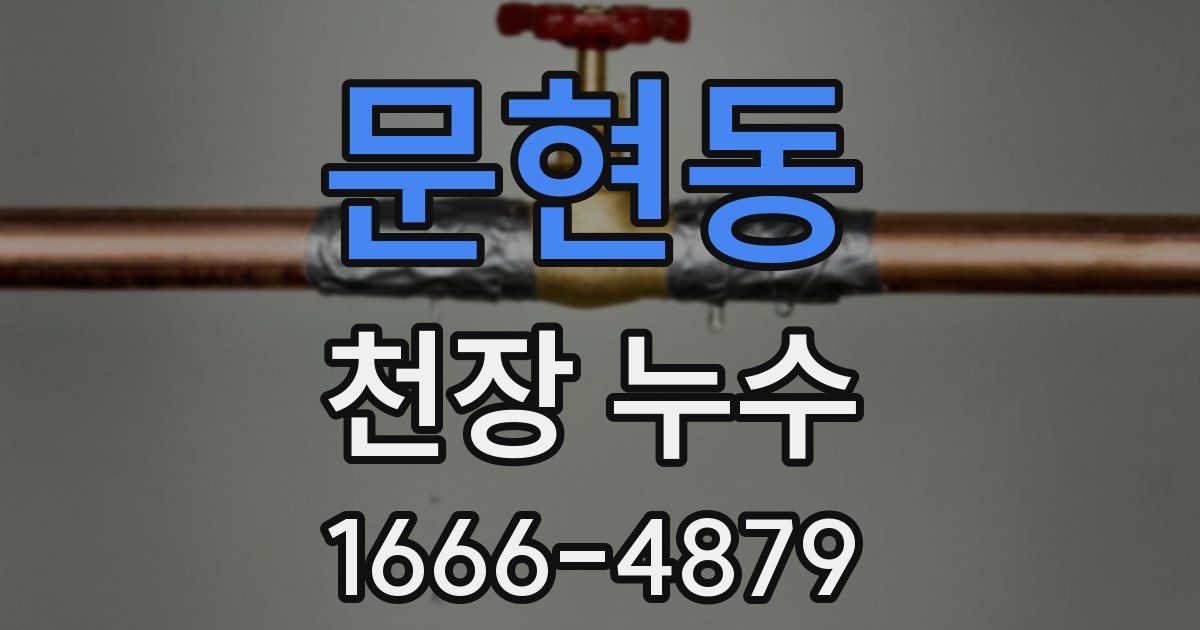 문현동 천장 누수