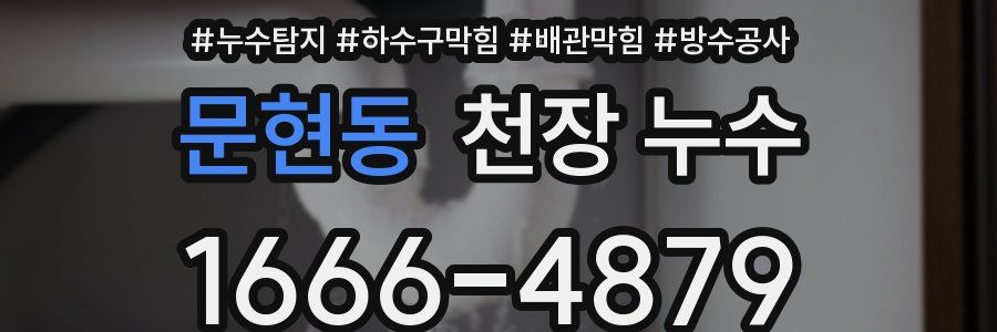 문현동 천장 누수