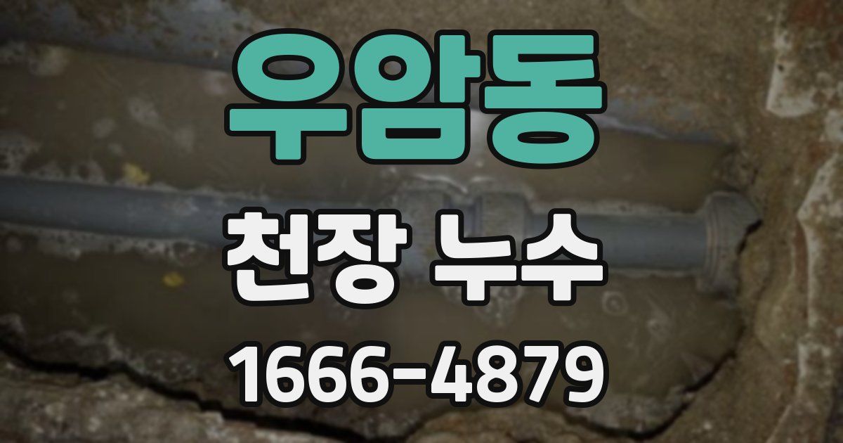 우암동 천장 누수