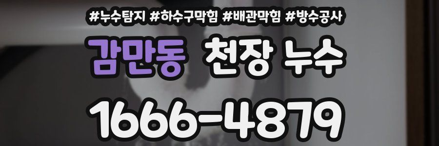 감만동 천장 누수