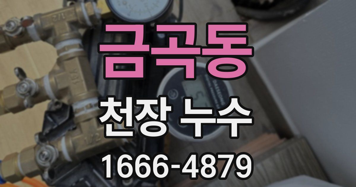 금곡동 천장 누수