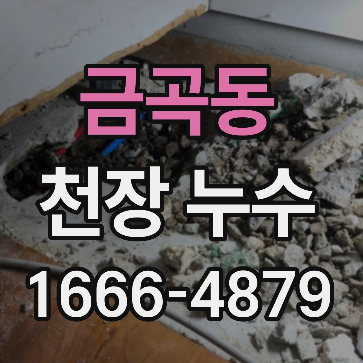 금곡동 천장 누수