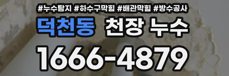 덕천동 천장 누수