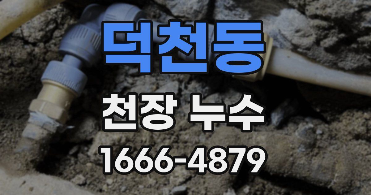 덕천동 천장 누수