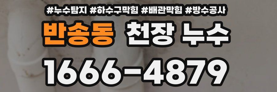 반송동 천장 누수