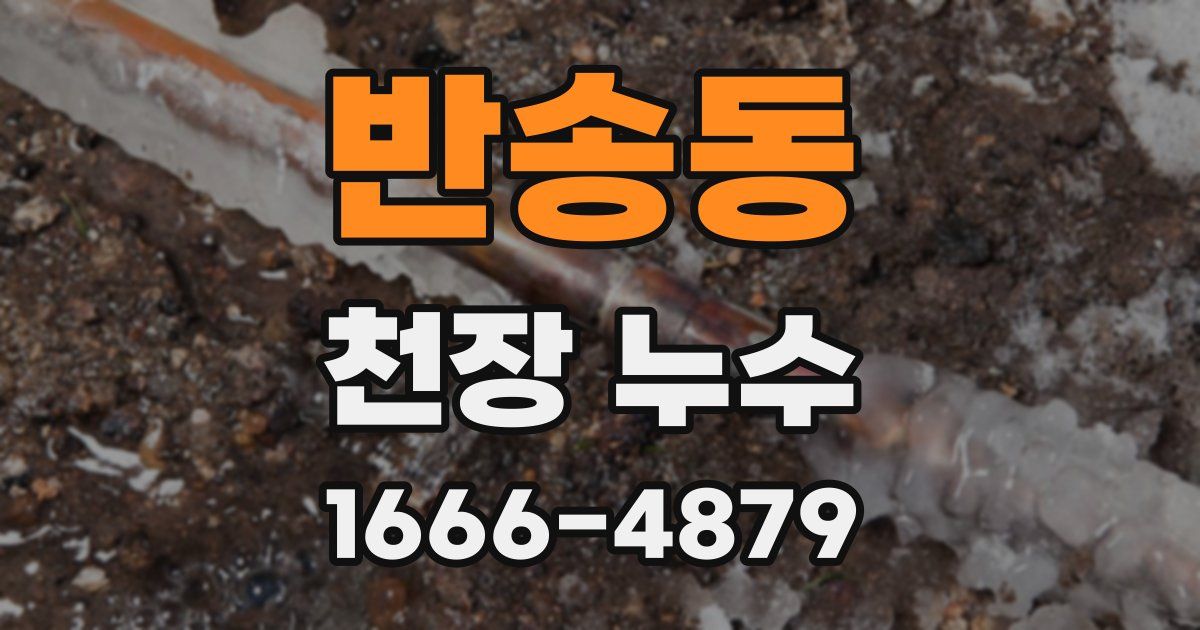 반송동 천장 누수
