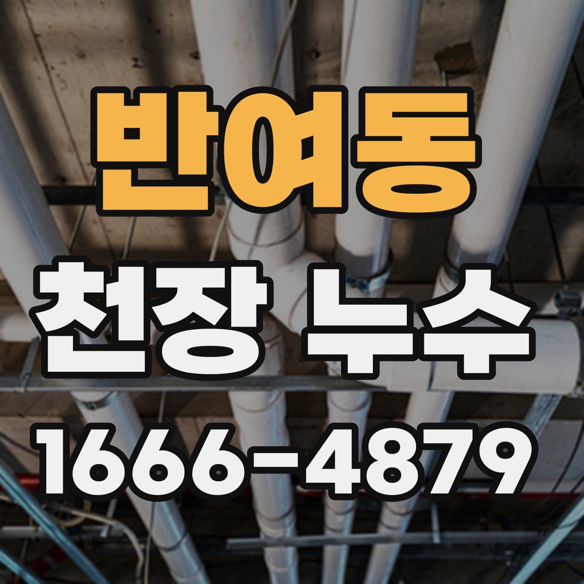 반여동 천장 누수