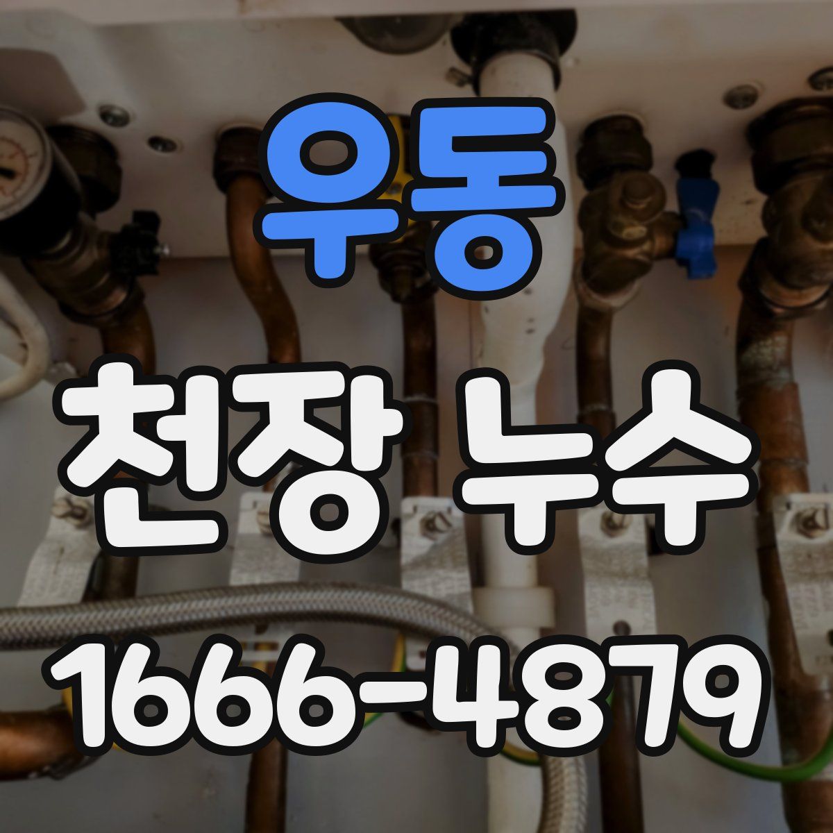 우동 천장 누수