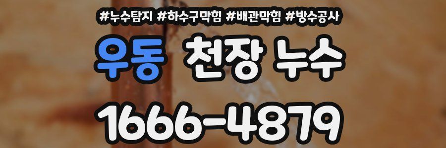 우동 천장 누수