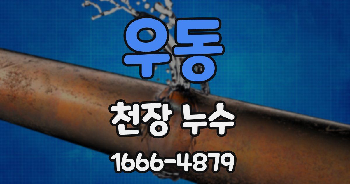 우동 천장 누수