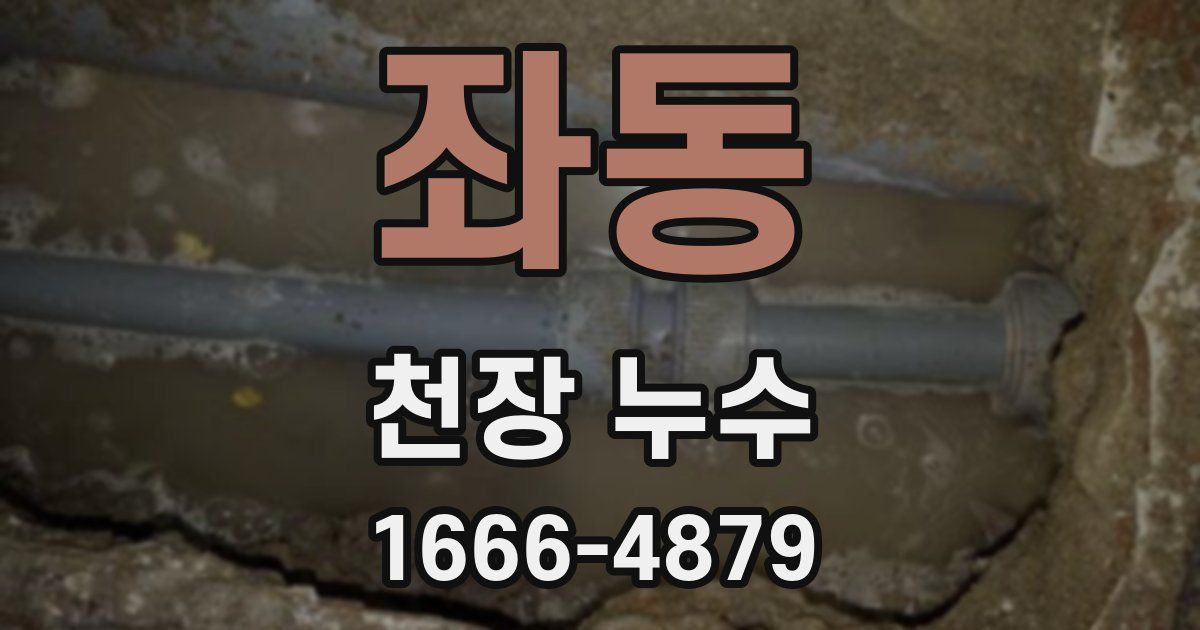 좌동 천장 누수