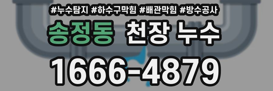 송정동 천장 누수
