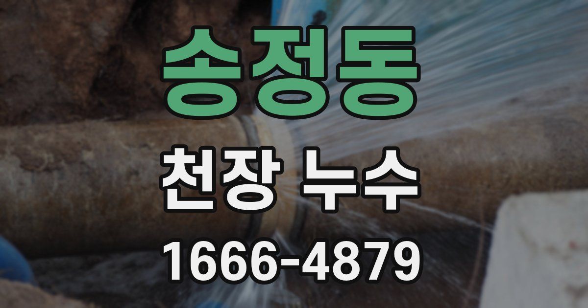 송정동 천장 누수