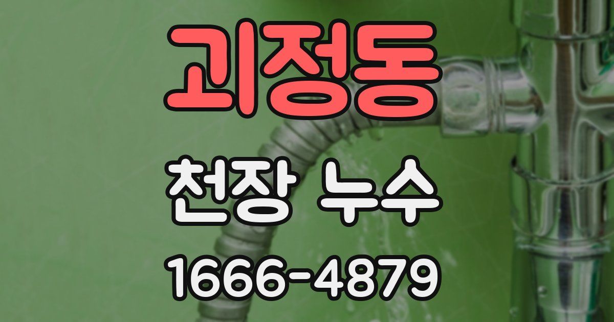 괴정동 천장 누수