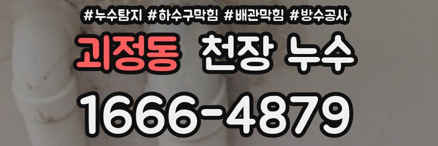 괴정동 천장 누수