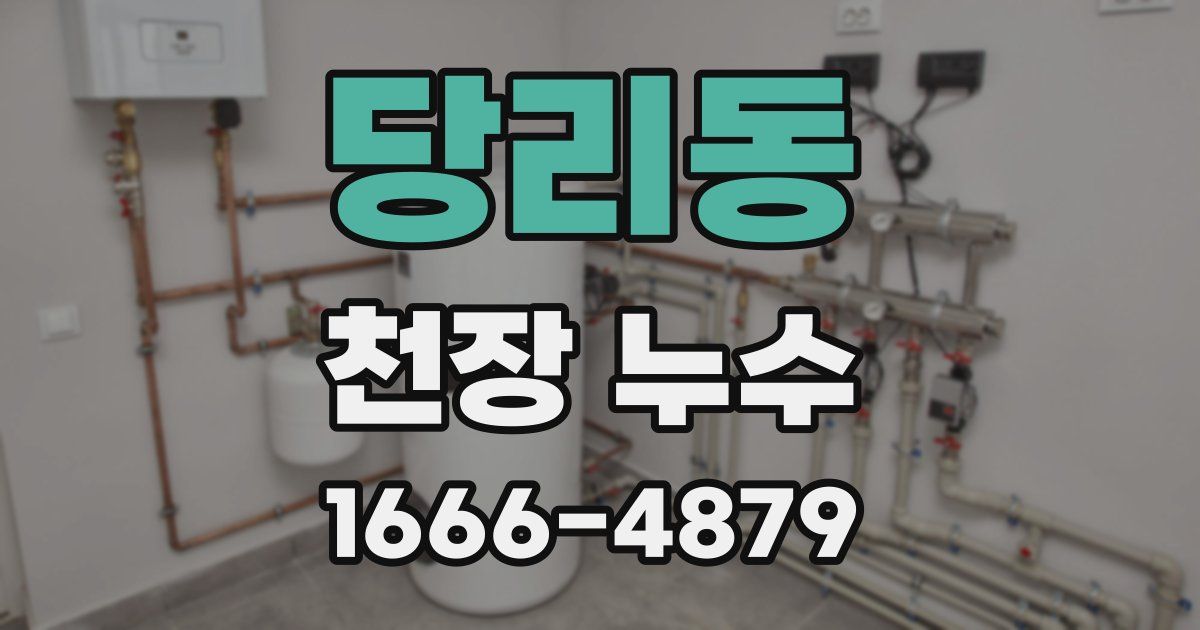 당리동 천장 누수