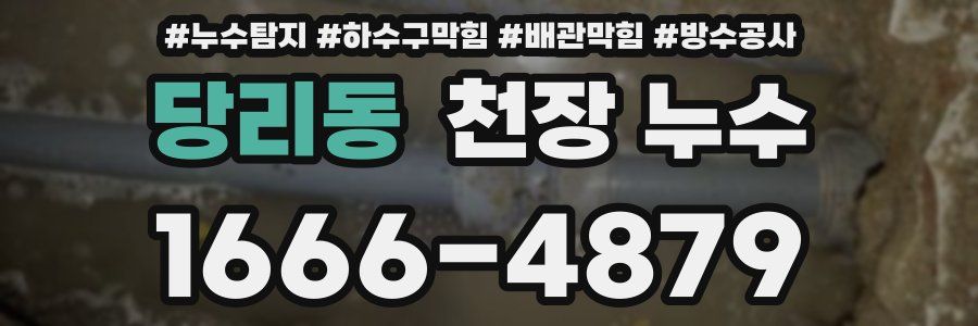 당리동 천장 누수