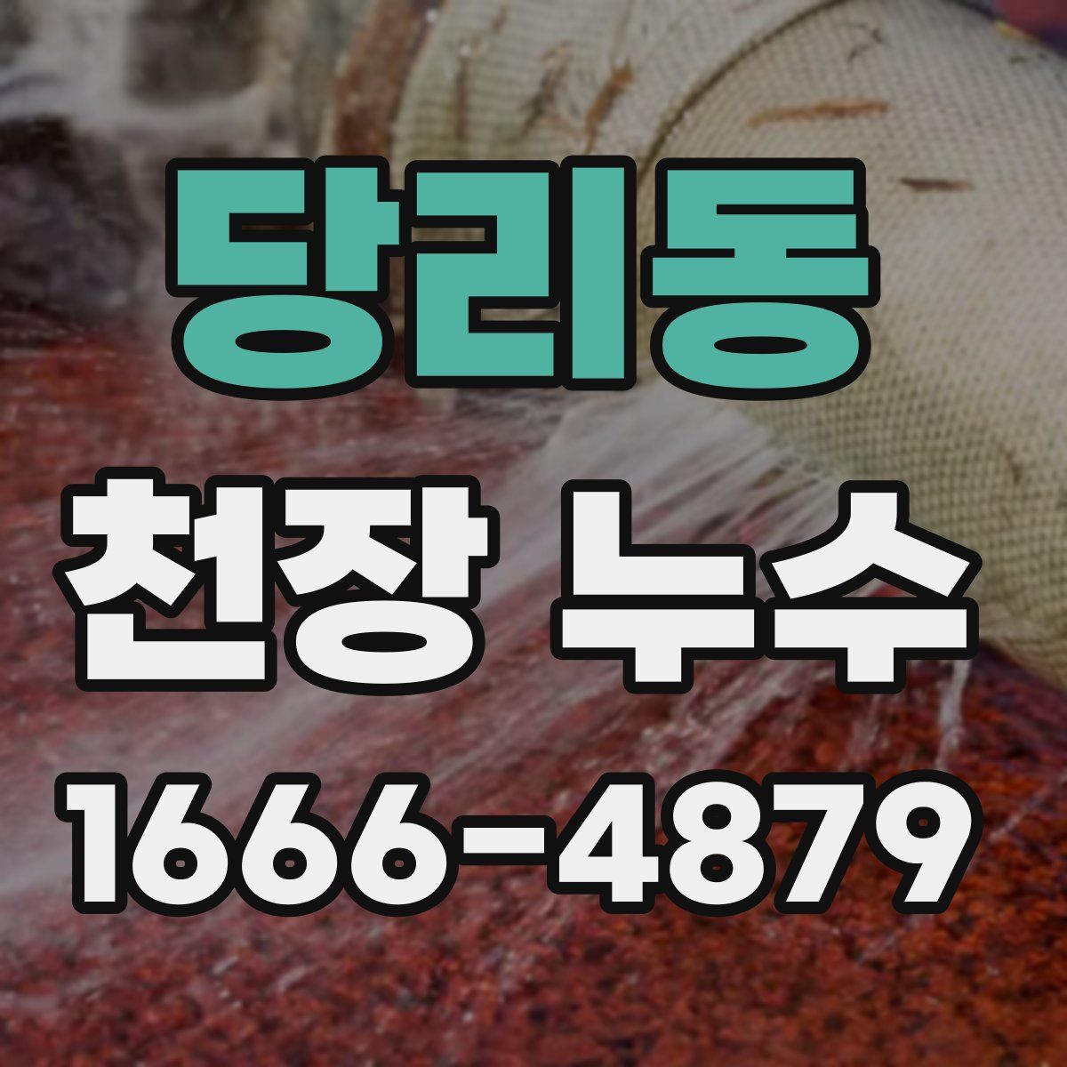 당리동 천장 누수