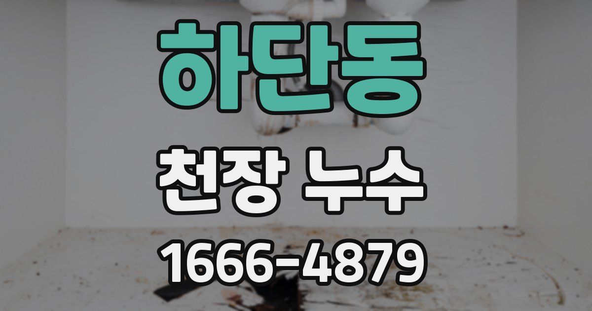 하단동 천장 누수
