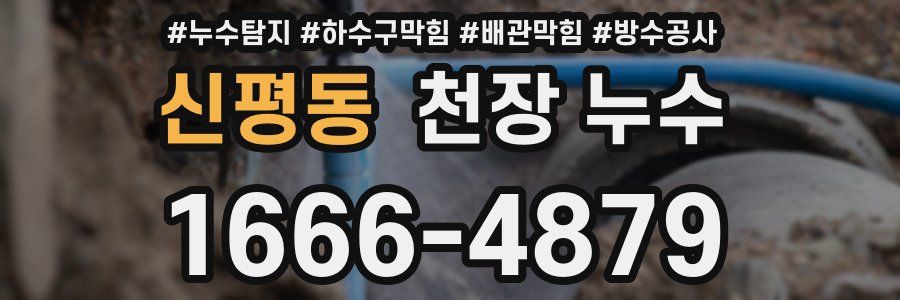 신평동 천장 누수