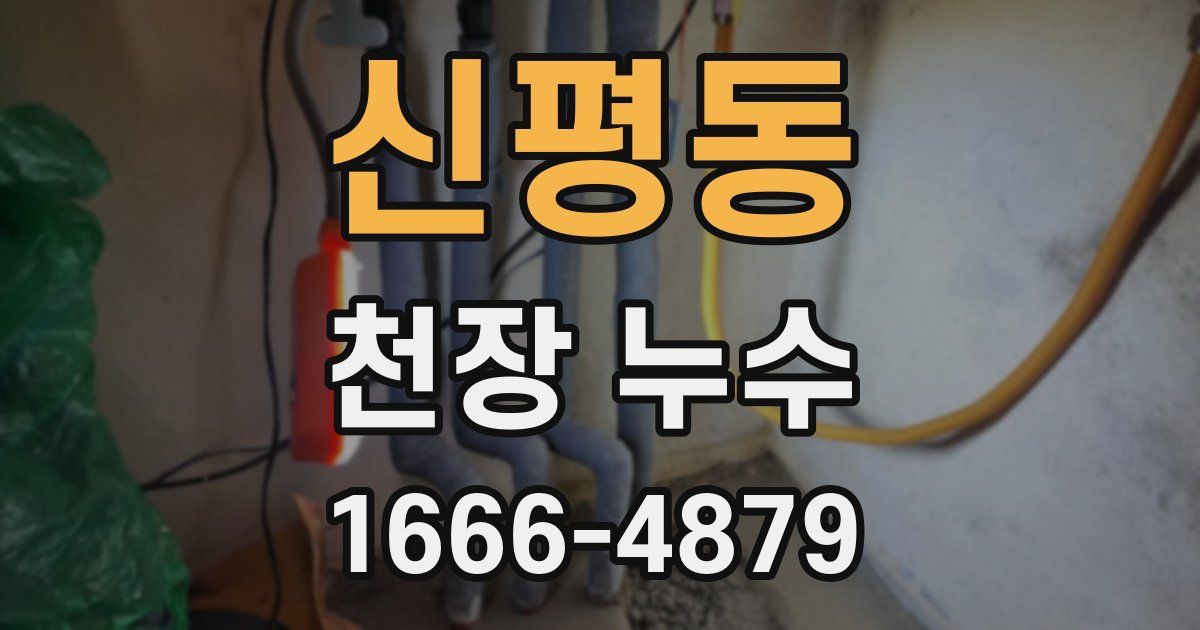 신평동 천장 누수