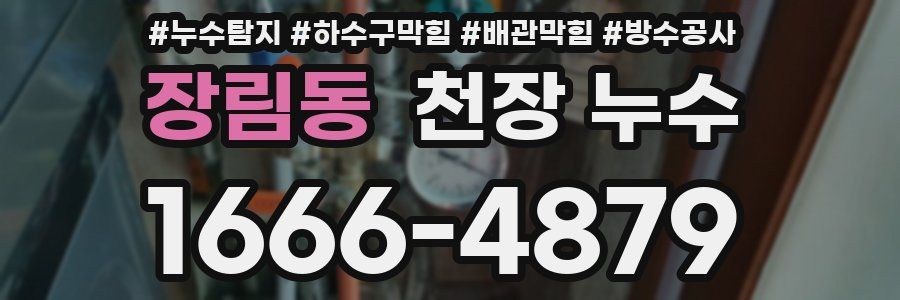 장림동 천장 누수