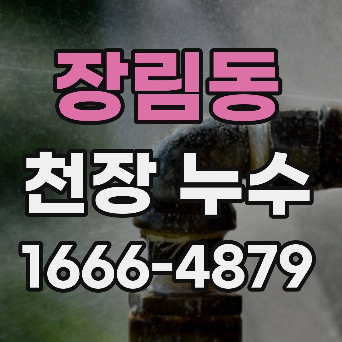장림동 천장 누수