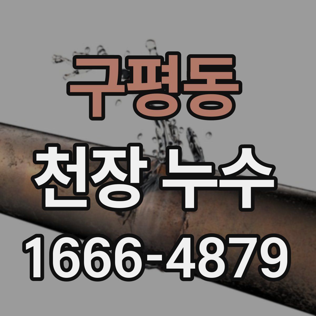 구평동 천장 누수