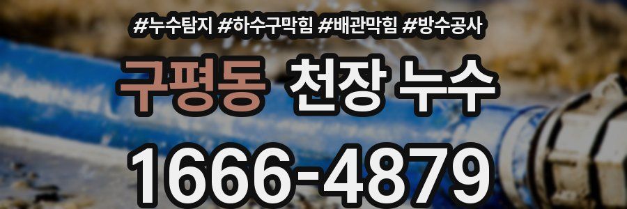 구평동 천장 누수
