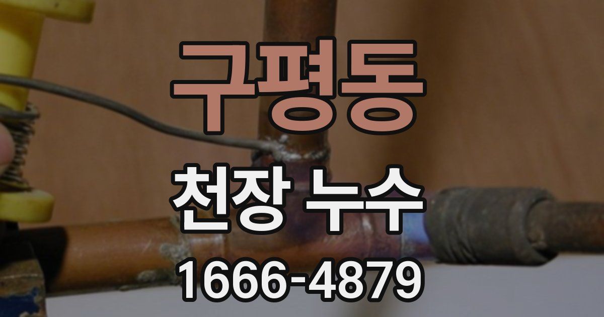 구평동 천장 누수