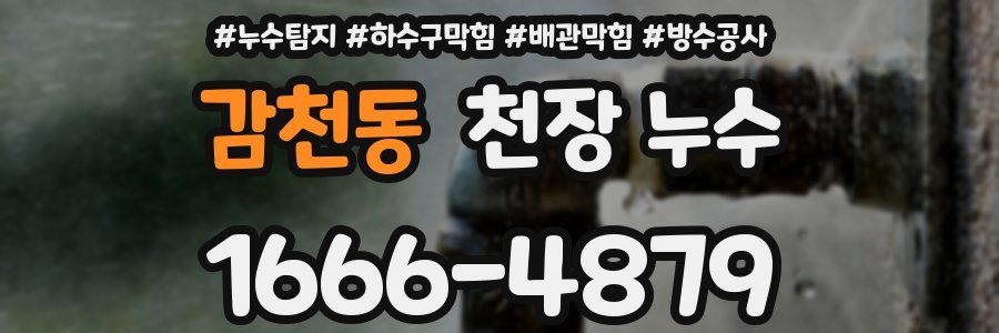 감천동 천장 누수