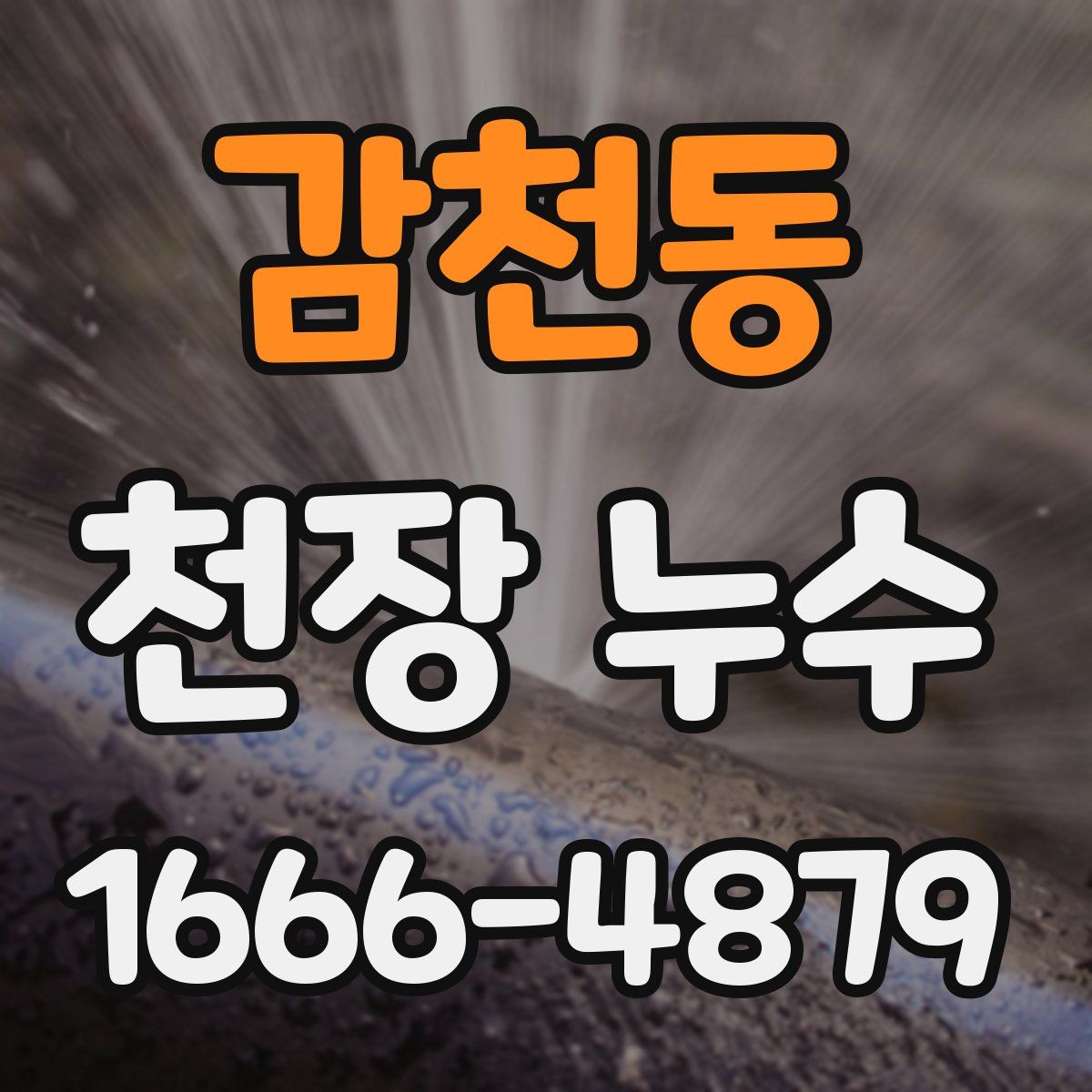 감천동 천장 누수