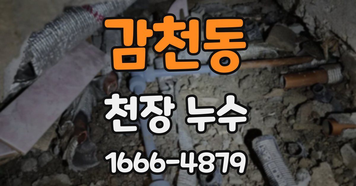 감천동 천장 누수