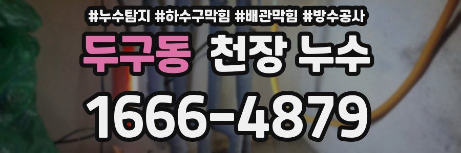 두구동 천장 누수