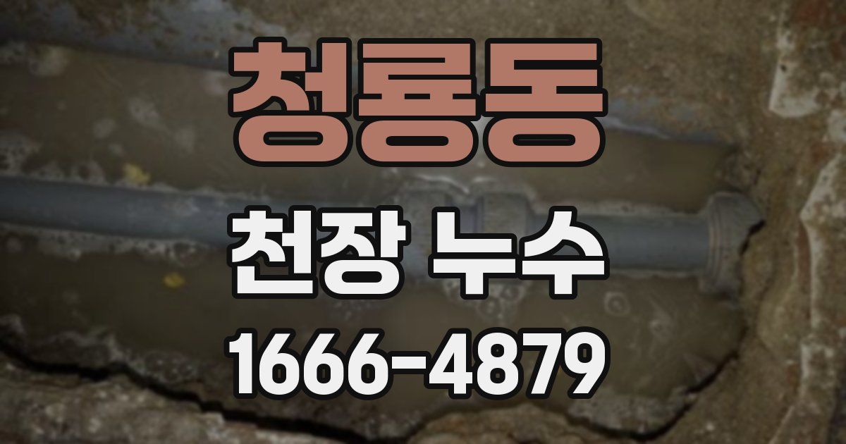 청룡동 천장 누수