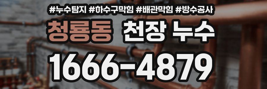 청룡동 천장 누수