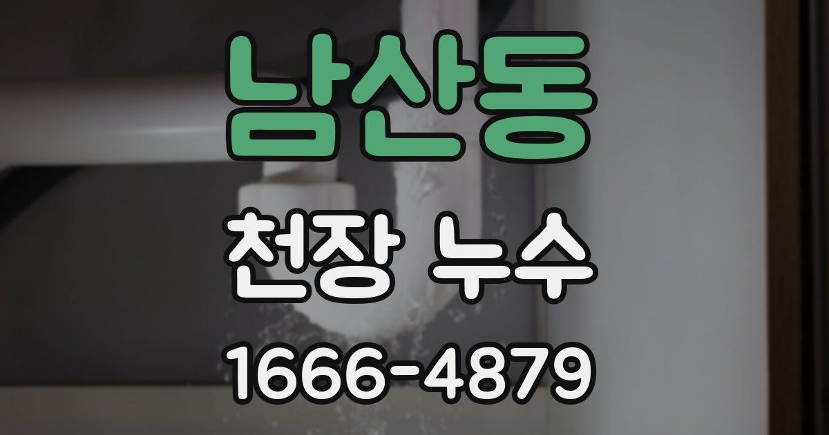 남산동 천장 누수