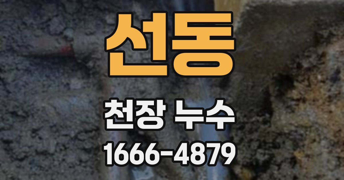 선동 천장 누수