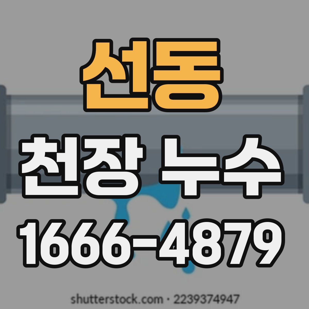 선동 천장 누수