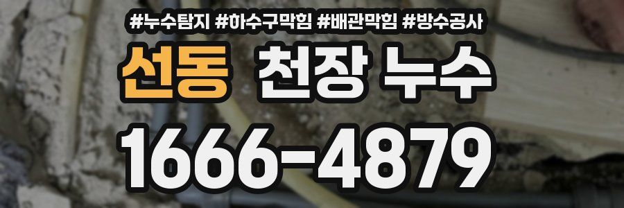선동 천장 누수