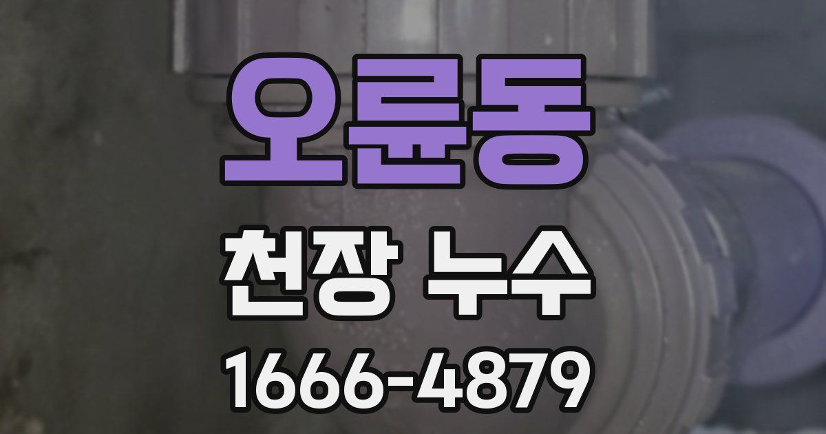 오륜동 천장 누수