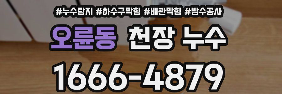 오륜동 천장 누수