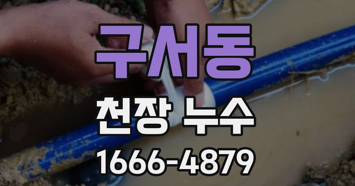 구서동 천장 누수