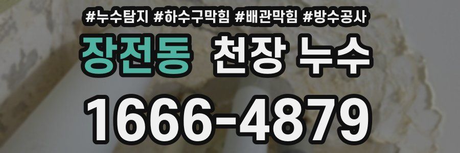 장전동 천장 누수