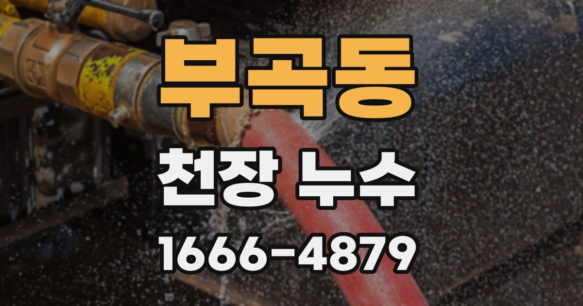 부곡동 천장 누수
