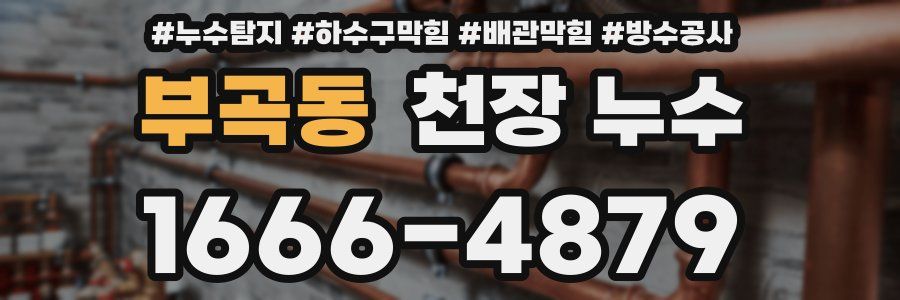 부곡동 천장 누수