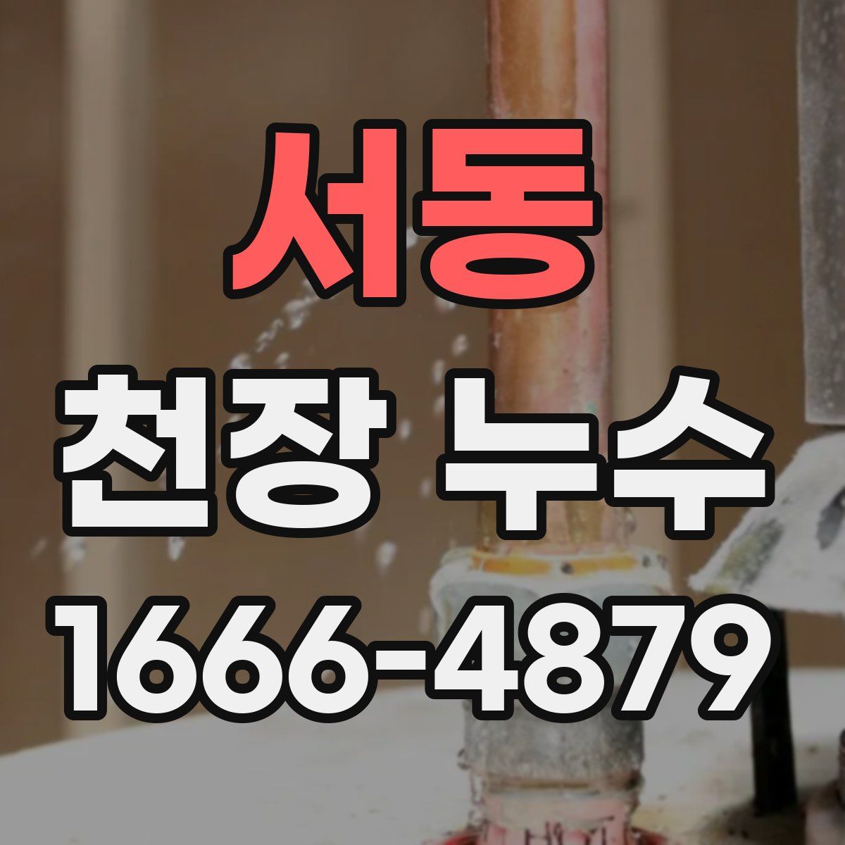 서동 천장 누수