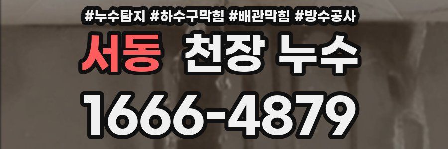 서동 천장 누수