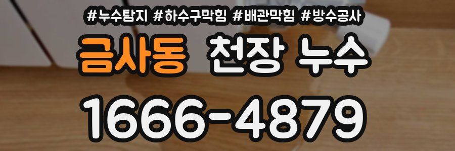 금사동 천장 누수